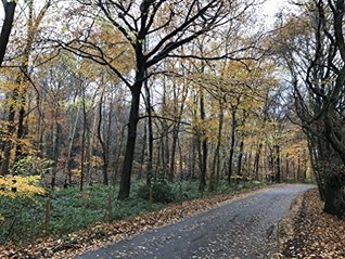 [2fa40] %R.e.a.d~ ^O.n.l.i.n.e! Hard Brexit (Romance Novel): Europes Broken Romance (Part Book 1) - A.A. HardCastle !PDF%