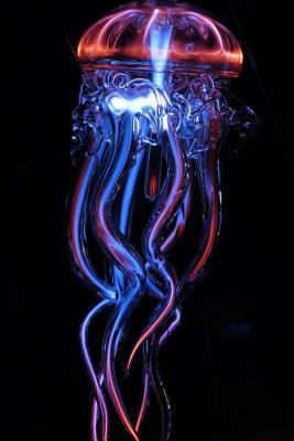 [a242d] ^F.u.l.l.^ ^D.o.w.n.l.o.a.d% Jellyfish Notebook: 150 Lined Pages, Softcover, 6 X 9 -  ^PDF!