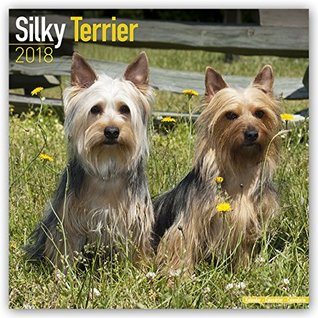 [7bce0] #Full* !Download# Silky Terrier Calendar - Dog Breed Calendars - 2017 - 2018 wall Calendars - 16 Month by Avonside -  ^e.P.u.b!